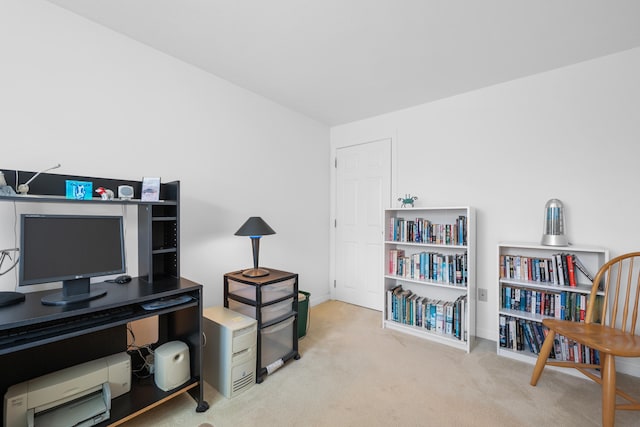 office space featuring baseboards and carpet flooring