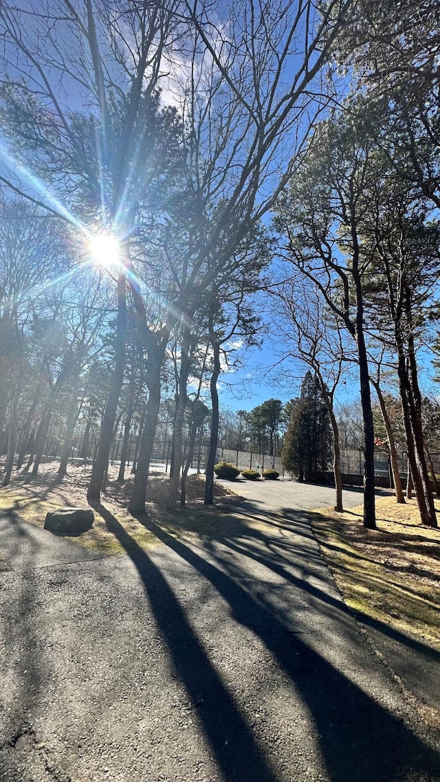 23 W Woods Vlg, Yarmouth Port, MA 02675 - view of yard