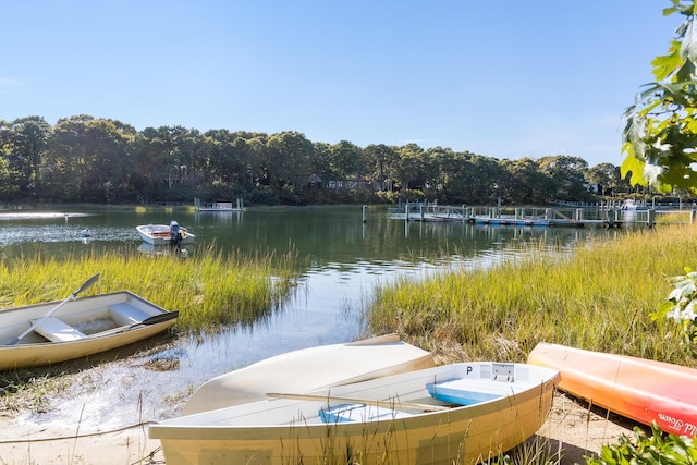 dock featuring a water view