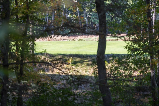view of grassy yard
