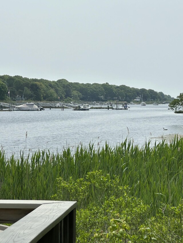 46 Woodland Trl, East Falmouth, MA 02536 - photo 59