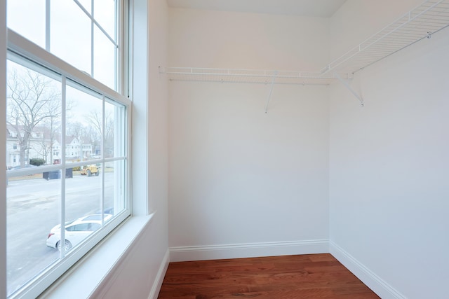 spacious closet featuring wood finished floors