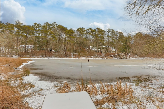 507 S Orleans Rd, Orleans, MA 02653 - view of yard covered in snow