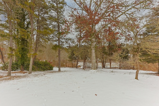 507 S Orleans Rd, Orleans, MA 02653 - view of yard covered in snow