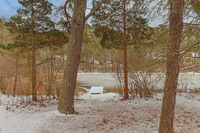 507 S Orleans Rd, Orleans, MA 02653 - view of snowy yard