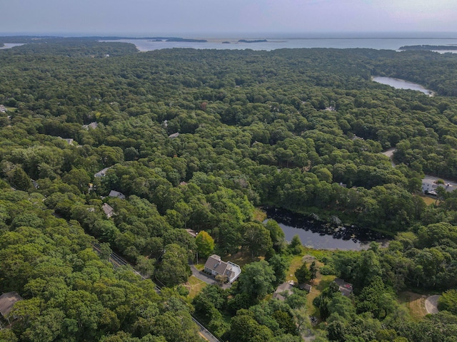 507 S Orleans Rd, Orleans, MA 02653 - drone / aerial view of a forest and a nearby body of water