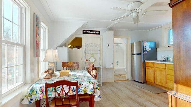 dining area with ornamental molding, a wealth of natural light, ceiling fan, and light hardwood / wood-style flooring