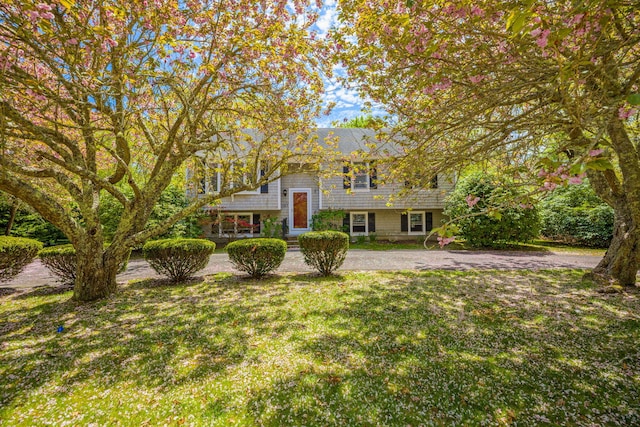 view of front facade with a front yard