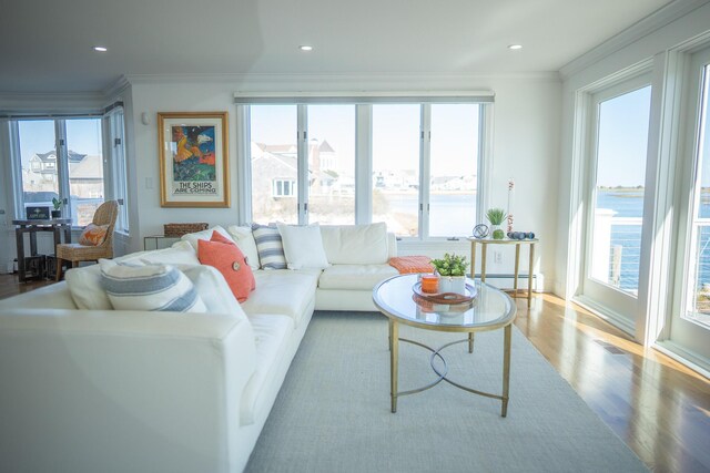 living area with crown molding, wood finished floors, and a wealth of natural light