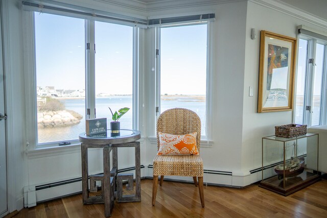 living area with crown molding, a water view, a wealth of natural light, and wood finished floors