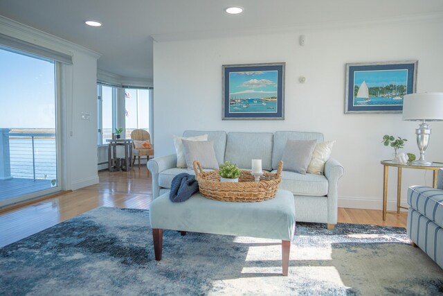 living area featuring crown molding, baseboards, recessed lighting, and wood finished floors