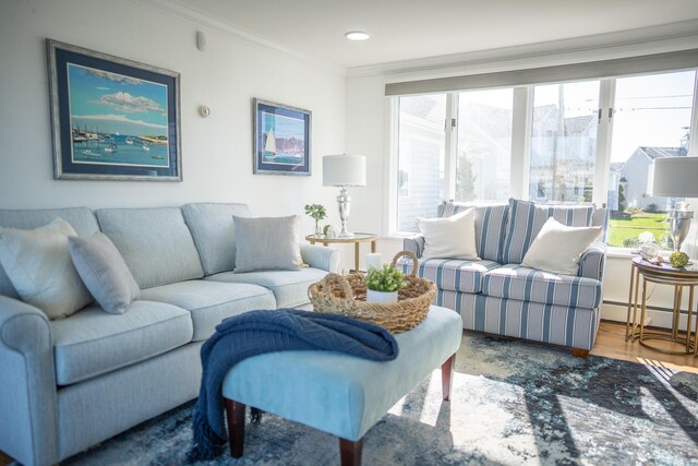 living room with crown molding, a baseboard radiator, and wood finished floors