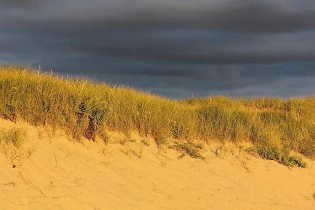 132 Shore Rd Unit 3, Truro, MA 02666 - view of nature