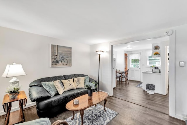 living room featuring hardwood / wood-style floors