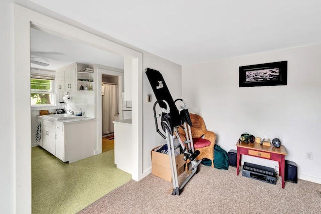 workout room featuring sink and light colored carpet