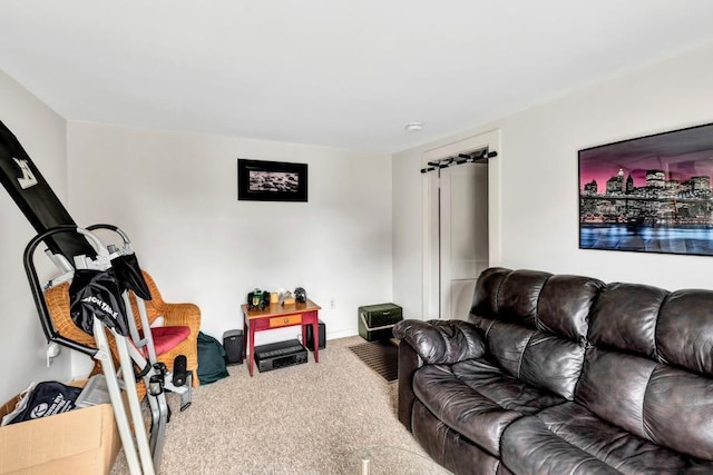 living room featuring carpet