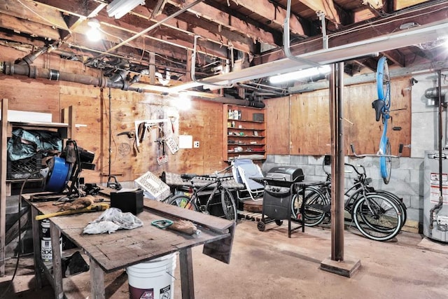 basement with gas water heater