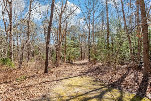 view of landscape featuring a wooded view