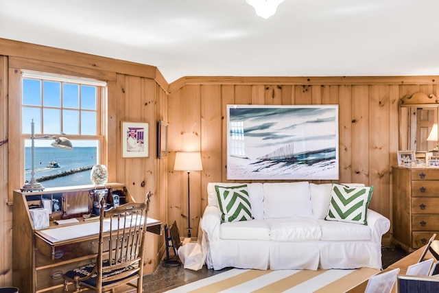 living area featuring wooden walls