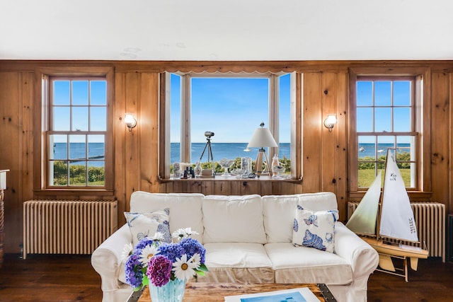 living room with radiator, a water view, and a healthy amount of sunlight