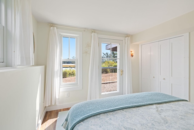 63 Briar Spring Rd, Orleans, MA 02653 - bedroom featuring wood finished floors and a closet