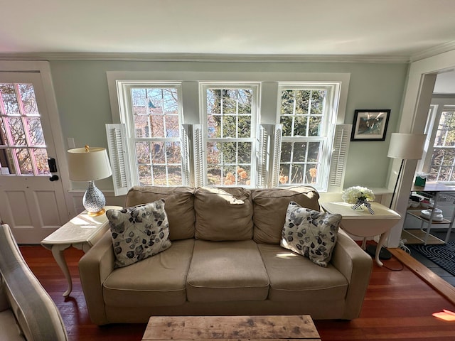 living room featuring crown molding and wood finished floors