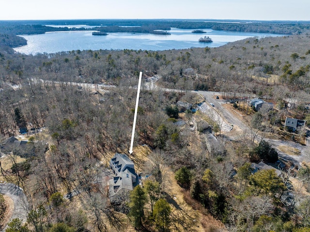 birds eye view of property with a water view and a forest view