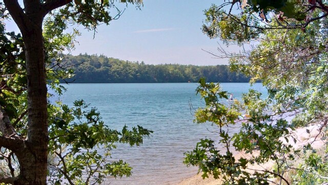 26 Newport Rd, Brewster, MA 02631 - photo 29