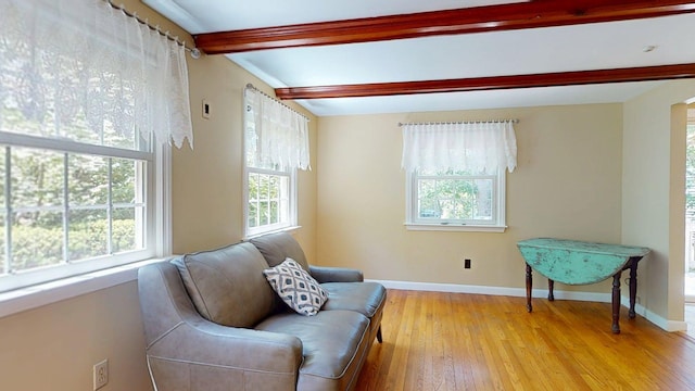 26 Newport Rd, Brewster, MA 02631 - photo 6