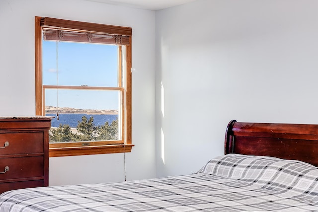 bedroom featuring a water view