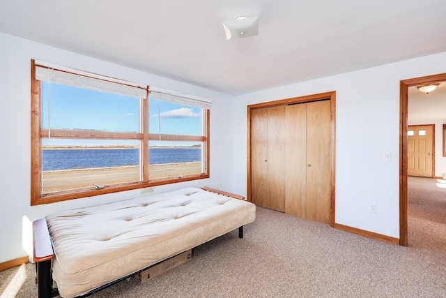 bedroom featuring a closet, a water view, and light colored carpet