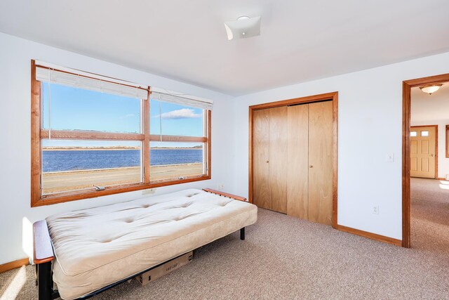 bedroom featuring a closet, a water view, and light colored carpet