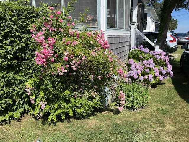 5 Spurr Rd, Pocasset, MA 02559 - exterior view
