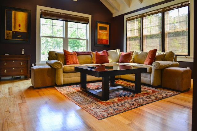 71 Stoney Hill Rd, Tisbury, MA 02568 - living room with wood finished floors