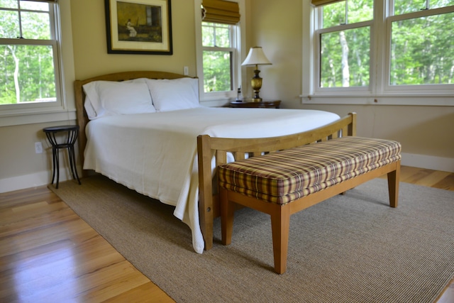 71 Stoney Hill Rd, Tisbury, MA 02568 - bedroom featuring multiple windows and light wood-type flooring