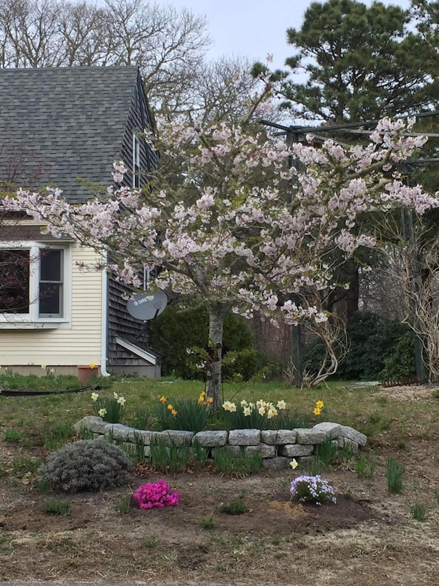 5 Penobscot Way, Harwich, MA 02645 - view of yard