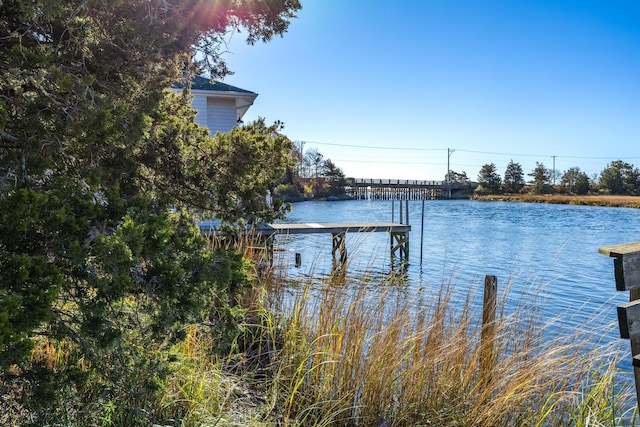 dock area with a water view