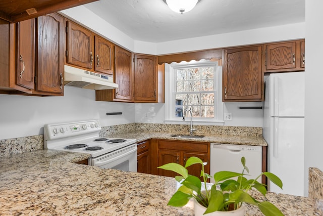 kitchen with white appliances, brown cabinetry, under cabinet range hood, and a sink