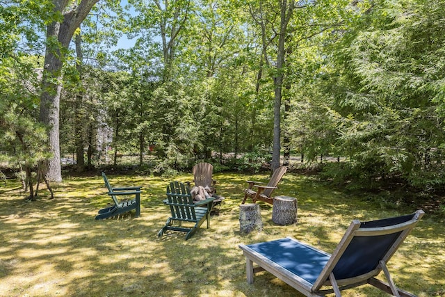 20 Hoyt Rd, Eastham, MA 02642 - view of yard