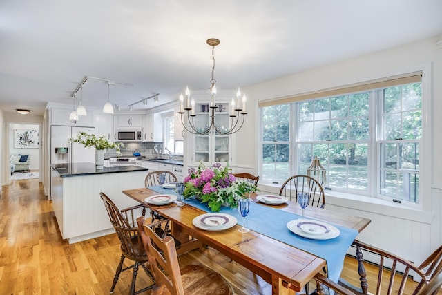 20 Hoyt Rd, Eastham, MA 02642 - dining space with rail lighting, a chandelier, light wood finished floors, and healthy amount of natural light