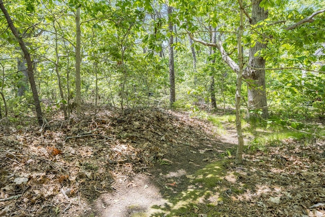 20 Hoyt Rd, Eastham, MA 02642 - view of tree filled area