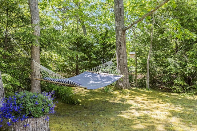 20 Hoyt Rd, Eastham, MA 02642 - view of yard
