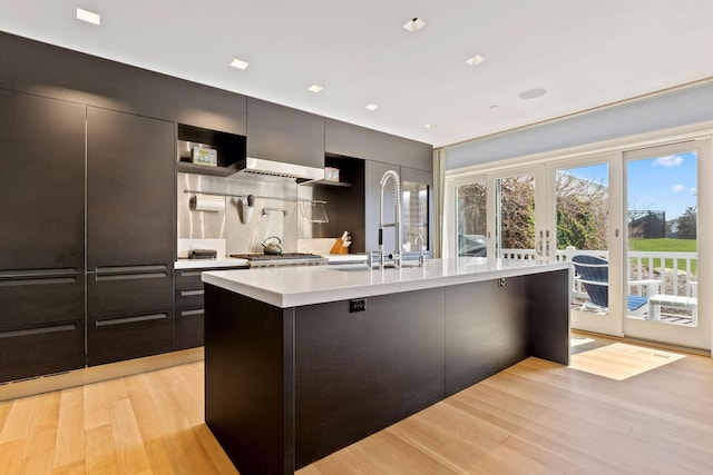 kitchen featuring light hardwood / wood-style floors, sink, stainless steel gas stovetop, and an island with sink