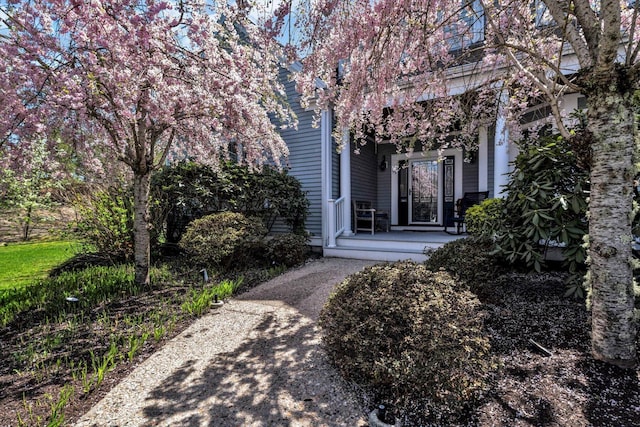 property entrance with a porch