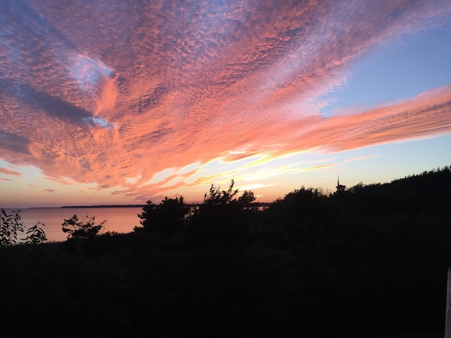 142 Greely Ave, Centerville, MA 02632 - nature at dusk with a water view