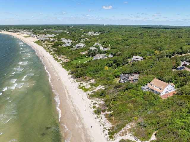 142 Greely Ave, Centerville, MA 02632 - bird's eye view of unending shoreline and a forest