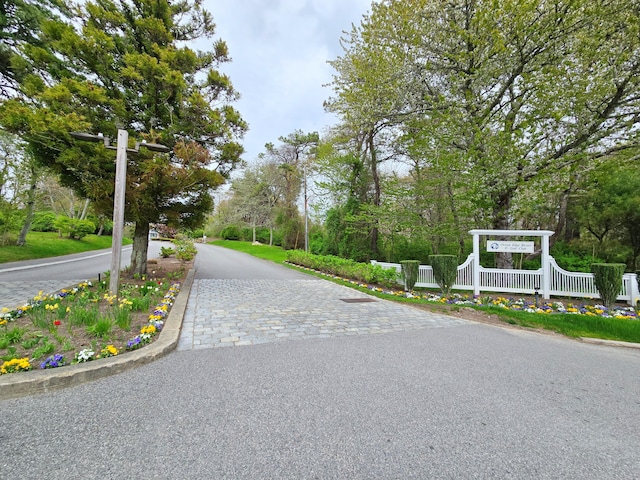 view of asphalt street with curbs
