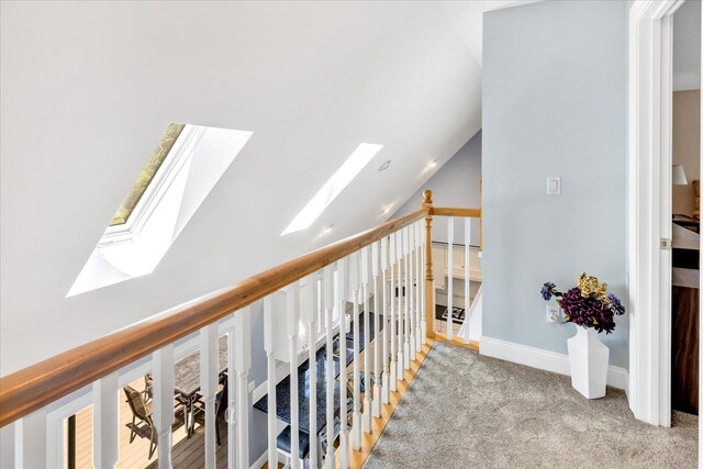 hall with carpet floors and lofted ceiling with skylight
