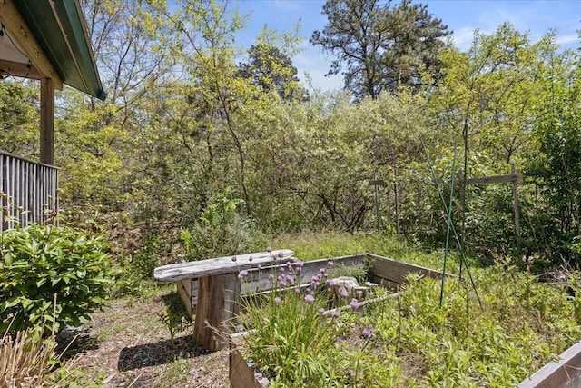 view of yard featuring a garden