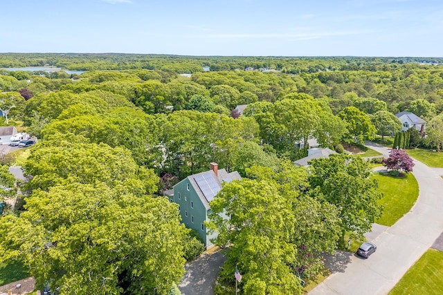 43 Seabreeze Dr, Bourne, MA 02532 - bird's eye view of a heavily wooded area
